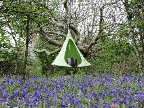 Swing Nest