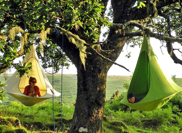Swing Nest