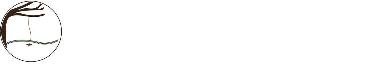 The Original Tree Swing logo