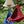 Swing Nest