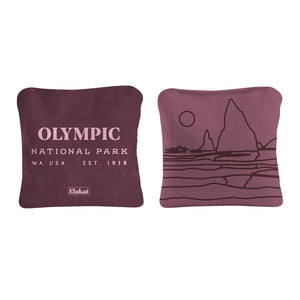6-in Dual-Sided Cornhole Bags | National Parks Collection