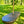 Oval Style Tree Swing