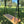 Classic Ash Double Bench Swing