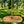 Oval Style Tree Swing