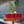 Social Pong