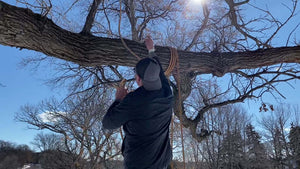 Man wearing baseball cap winding rope around large tree branch on a sunny day with blue skies