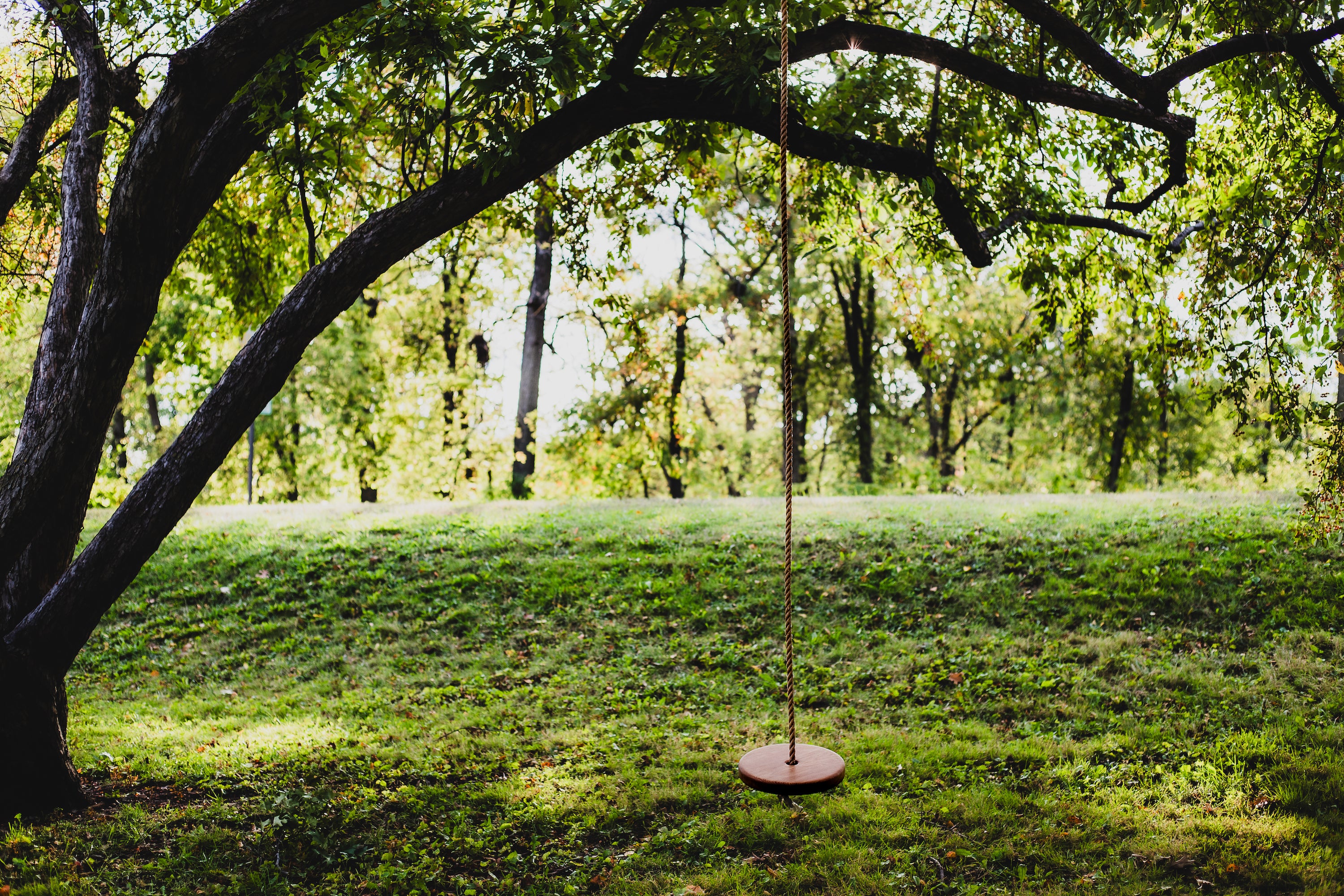 The Original Tree Swing (Disc Swing) | Rope Swing