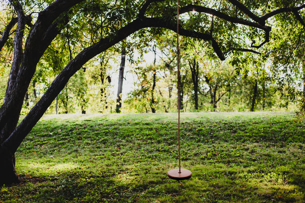 Disc Style Tree Swing