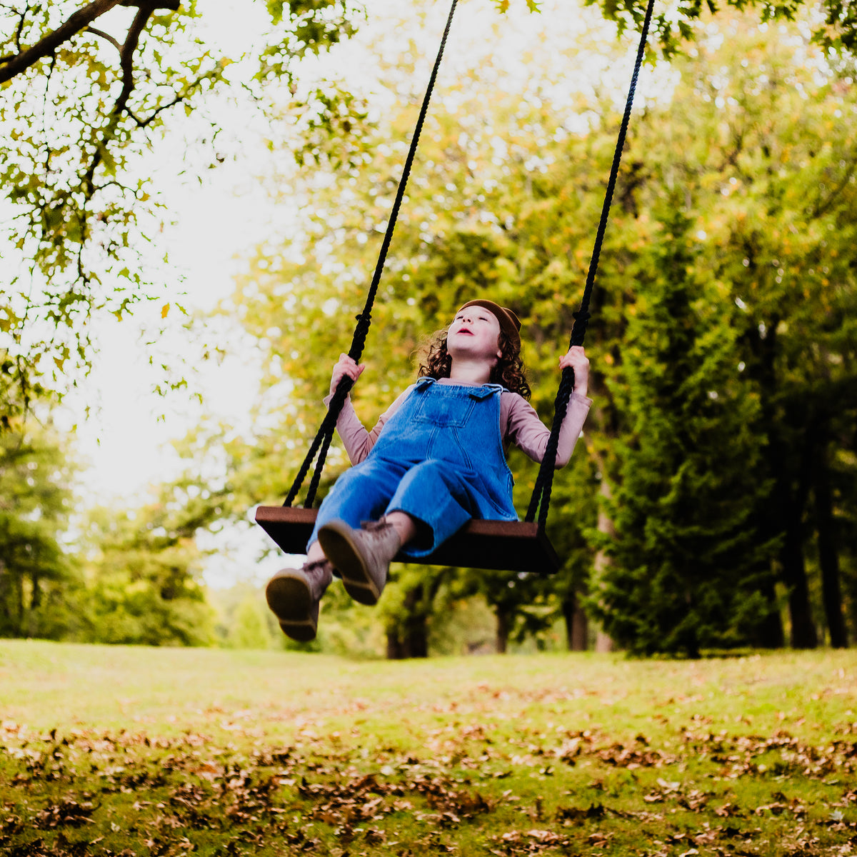 Dark Brown Stained Classic Bench Swing – The Original Tree Swing