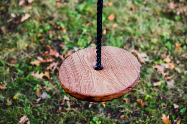 Disc Style Tree Swing