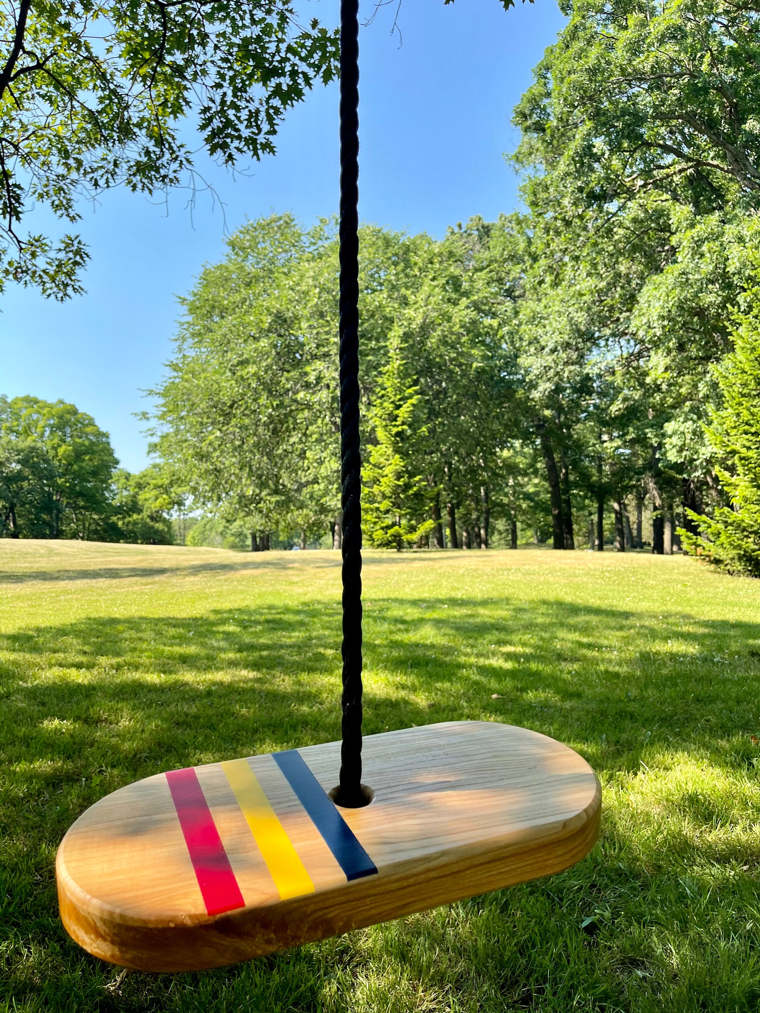 Painted Oval Tree Swing