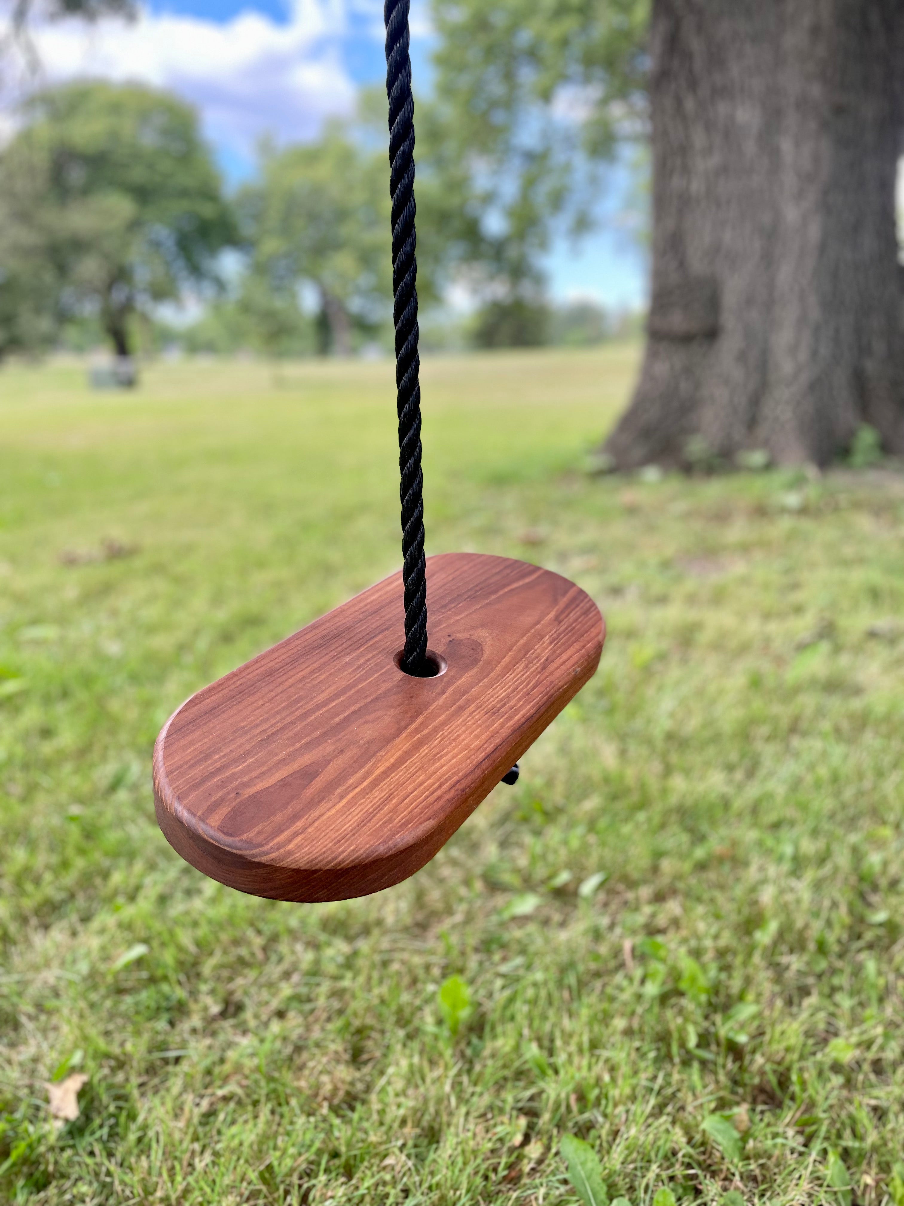 Limited Edition Oval Swing w/ Black Rope – The Original Tree Swing