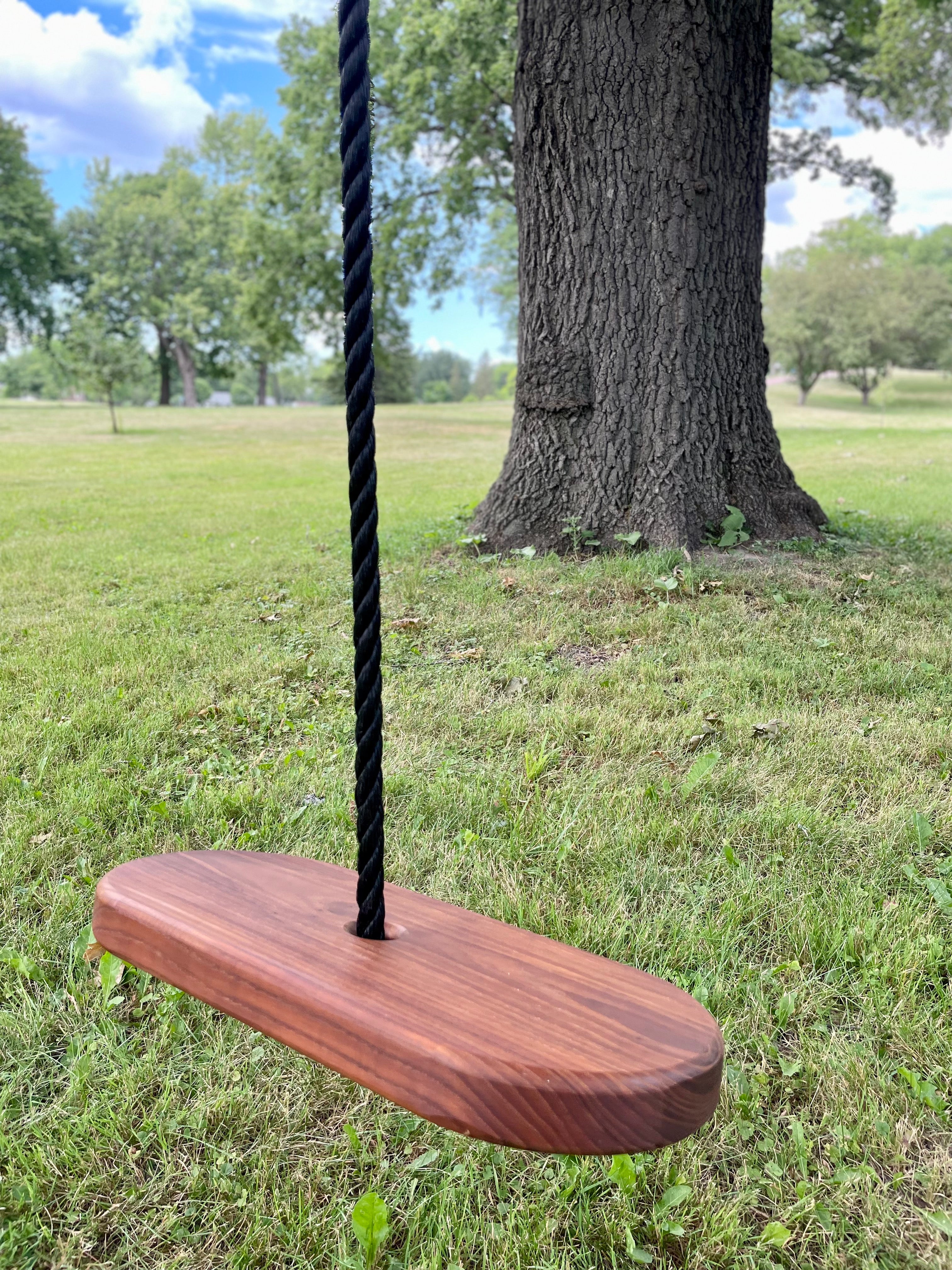 Limited Edition Oval Swing w/ Black Rope