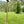 Tree Swing w/knotted climbing rope and hanging hardware