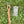 Tree Swing w/knotted climbing rope and hanging hardware