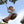 Disc Style Tree Swing
