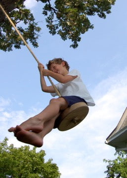 Disc Style Tree Swing